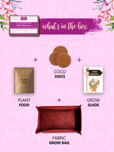 DIY microgreens kit-Radish-Eco friendly gift